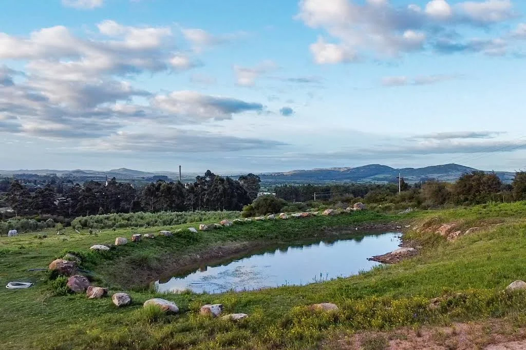 The farm pond overlooking the hills near Pan de Azúcar