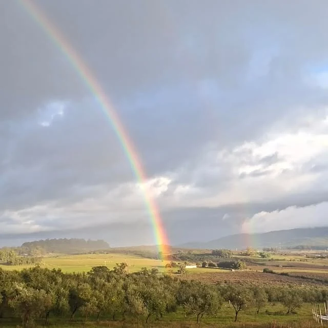 Arcoíris sobre el valle y el olivar de Las Marías