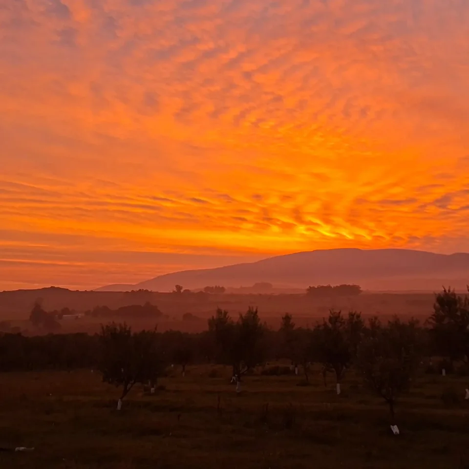 Atardecer naranja sobre el olivar y las Sierras de las Ánimas